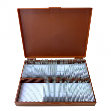 Комплект микропрепаратов по анатомии, ботанике, зоологии, общей биологии - «globural.ru» - Балашиха