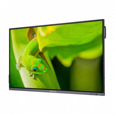 Интерактивный программно-аппаратный комплекс Geckotouch Interactive IP86GT-С  в комплекте с настенным креплением - «globural.ru» - Балашиха