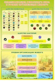 Стенд "Классификация животного мира" - «globural.ru» - Балашиха