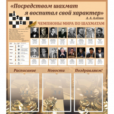 "Шахматы" тематический стенд - «globural.ru» - Балашиха